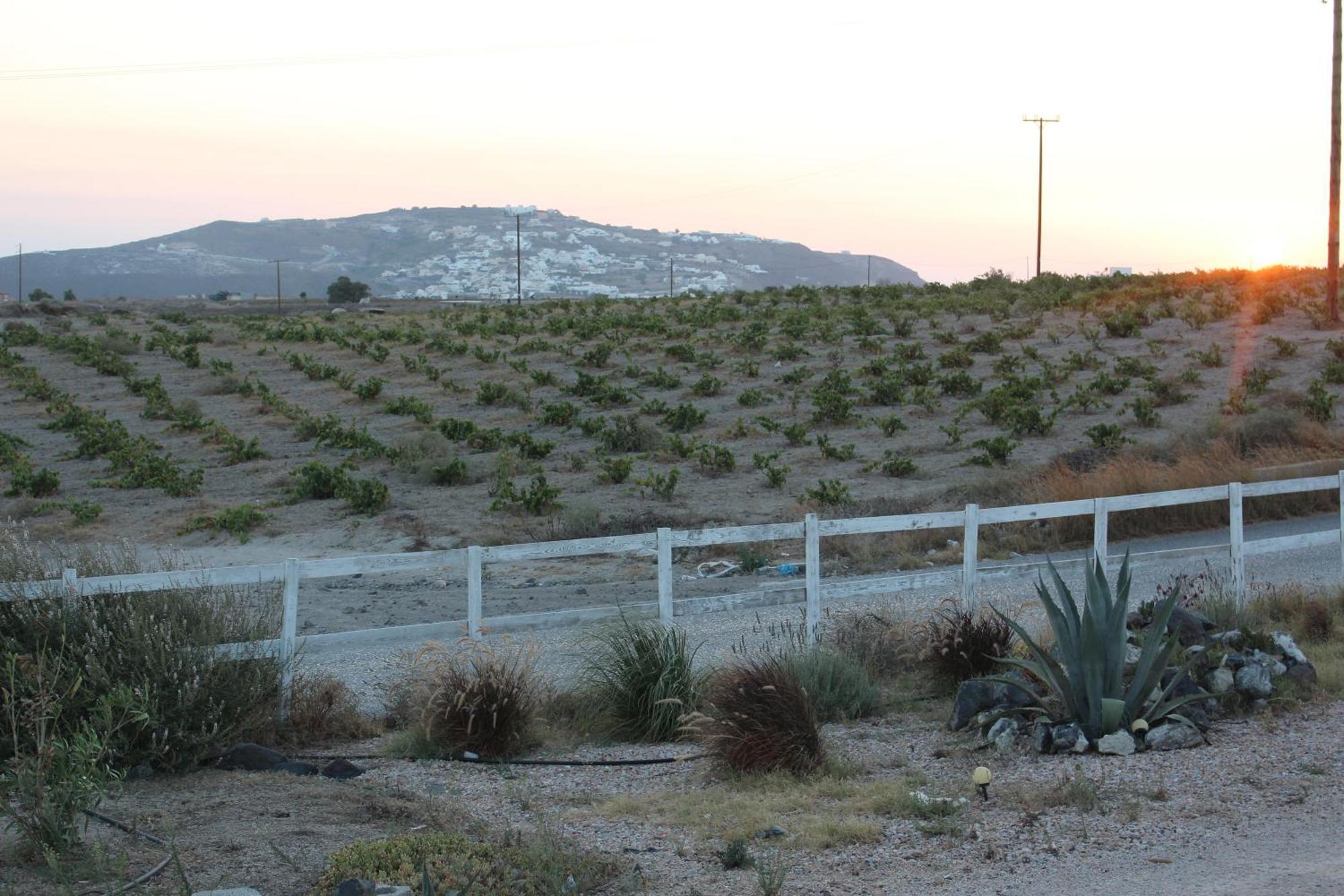 Ab Green Living Santorini Emporio  Eksteriør bilde